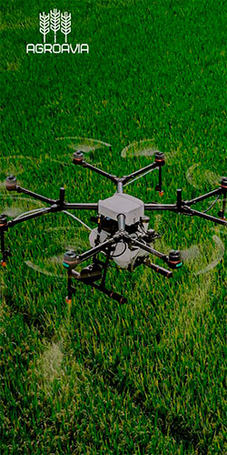 создание сайта для сельскохозяйственных дронов